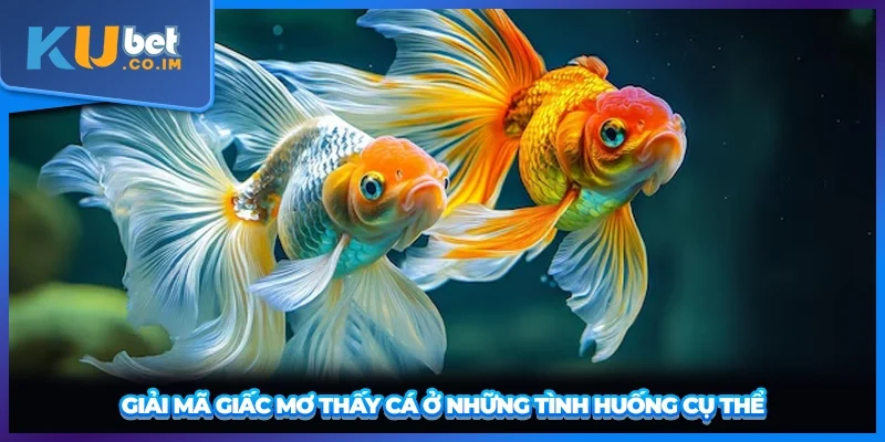 Giải mã giấc mơ thấy cá ở những tình huống cụ thể
